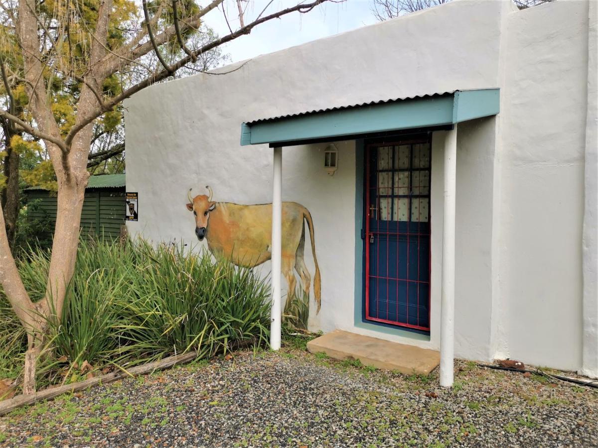 Hotel Studio Frangipani Greyton Esterno foto